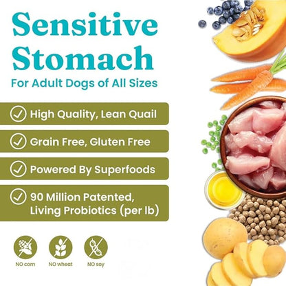 Solid Gold Sensitive Stomach Dog Food for Adult & Senior Dogs - Grain Free Healthy Dog Food w/Real Quail, Pumpkin, Fiber & Probiotics for Gut Health & Digestion - Kibble for Sensitive Stomachs - 24LB