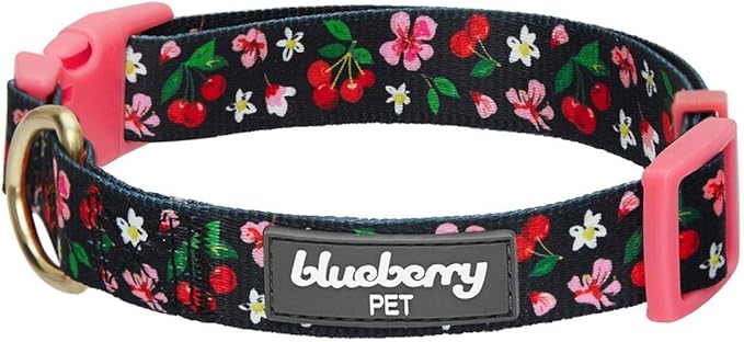 Blueberry Pet Cherry Garden Black Adjustable Dog Collar with Dainty Flowers, X-Small, Neck 8"-11"