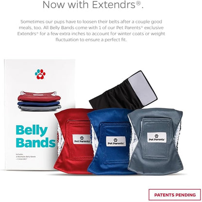 Pet Parents® Washable Belly Bands for Male Dogs (3pack) + Extendrs® of Durable Dog Diapers Male, Premium Male Dog Diapers & Dog Wraps (X-Large, Kingsmen)