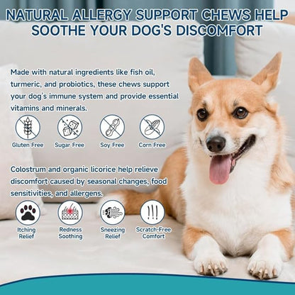 Dog Allergy Chews for Dog Itching Skin Relief, 200 Dog Allergy Relief Treats with Probiotics for Dogs, Immune Support & Skin Relief for Seasonal Allergies, Gut & Digestive Health, Chicken Flavor