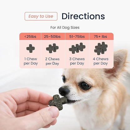 Vets Preferred Flea and Tick Prevention for Dogs Chewable - Daily Defense Without Harsh Chemicals - Immune Support & Antioxidant Protection - Beef Flavored - 90 Soft Chews