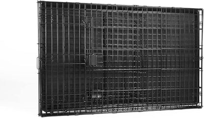 Amazon Basics Portable Metal Wire Dog Crate for Large Dogs, Double Door with Removable Tray, Divider Panel, Easy to Assemble, 48" x 30" x 32.5", Black