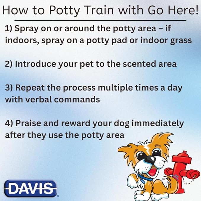 Davis Go Here Potty Training Aid, 22 oz