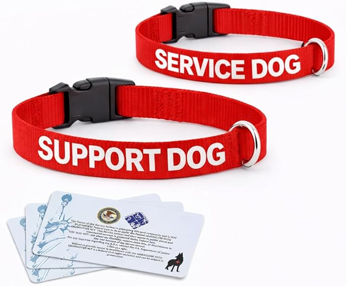 Service Dog Collar & Emotional Support Animal (ESA) Collar with Metal ID Tag + 3 Information Cards – Adjustable Heavy-Duty Nylon | ALL ACCESS CANINE
