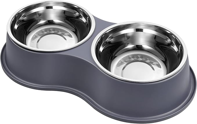 Epetslove Dog Bowl Double Dog Water and Food Bowl Stainless Steel Bowls with Non-Slip Resin Station, Pet Feeder Bowls for Puppy Medium Dogs Cats