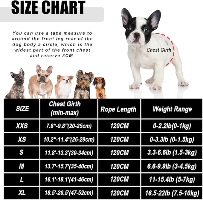 FEimaX Dog Harness and Leash Set for Walking, Soft Mesh Adjustable Easy Control Lightweight Cat Vest Harnesses with Reflective Strips, Escape Proof Small Dogs Cats Vests (Red, Small)