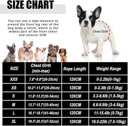 FEimaX Dog Harness and Leash Set for Walking, Soft Mesh Adjustable Easy Control Lightweight Cat Vest Harnesses with Reflective Strips, Escape Proof Small Dogs Cats Vests (Red, Small)