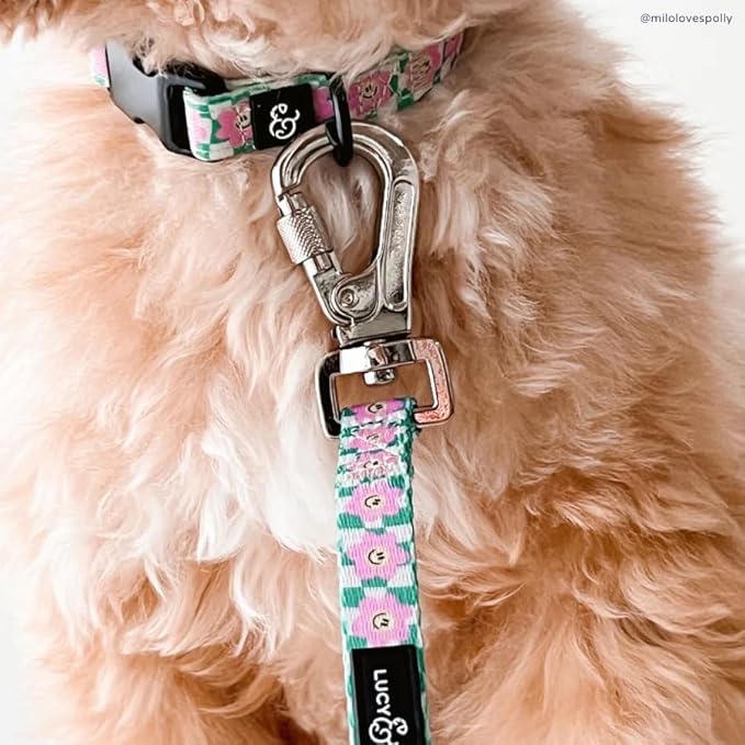 Just Chill Leash