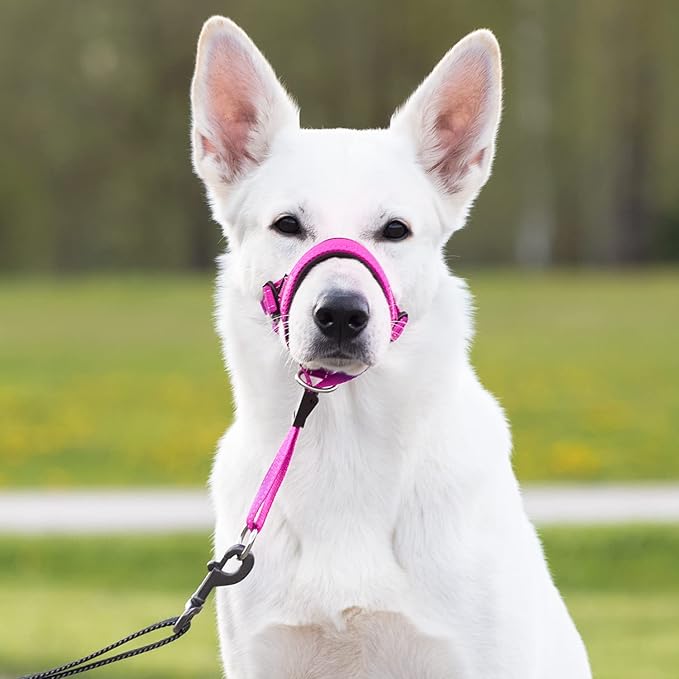 GoodBoy Dog Head Halter with Safety Strap - Stops Heavy Pulling On The Leash - Padded Headcollar for Small Medium and Large Dog Sizes - Head Collar Training Guide Included (Size 2, Pink Nylon)