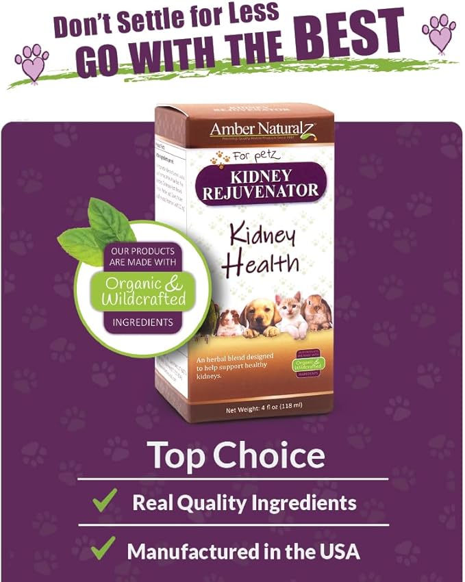 Amber NaturalZ Kidney Rejuvenator Herbal Supplement for Dogs, Cats, Birds, Rabbits, and Guinea Pigs | Supports Normal Kidney Function | Natural Aid for Kidney Health 4 Fluid Ounces