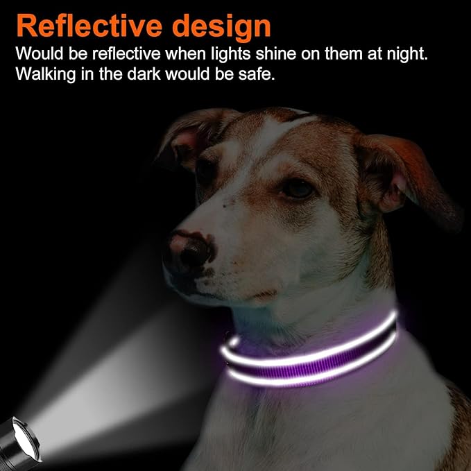 Joytale Reflective Dog Collar, Soft Neoprene Padded, Metal D-Ring, Nylon Pet Collar Adjustable for Puppy and Small Dogs, Purple, XS
