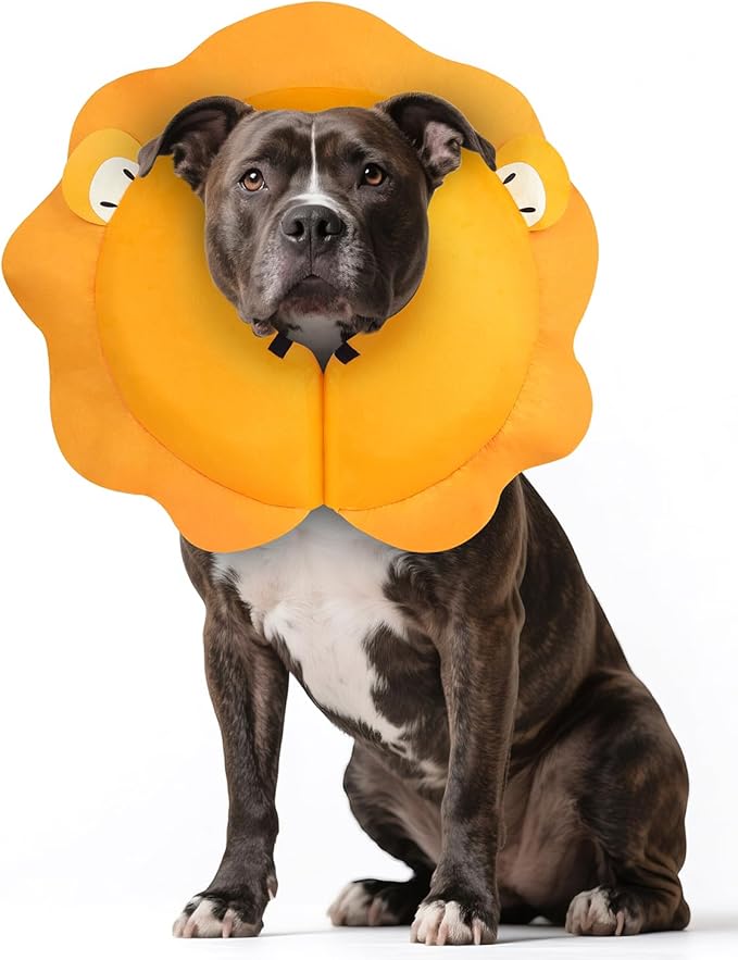 MIDOG Inflatable Dog Cone Collar, Lion Mane Soft Dog Cone Alternative After Surgery with 40% Extra Protection Area Anti-Lick, Adjustable Donut Recovery Collar for Large Medium Small Dogs (Lion, L)
