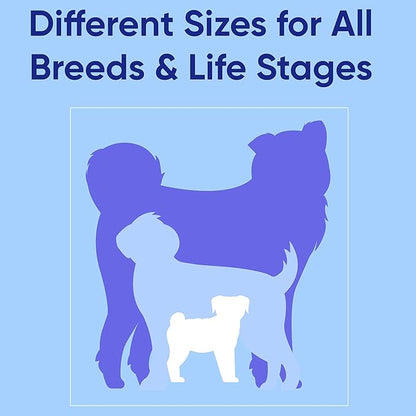 Pawtitas Solid 6 ft Red Dog Leash M/L Custom Name and Phone Embroidery Strong Nylon Leash for Medium and Large Breeds