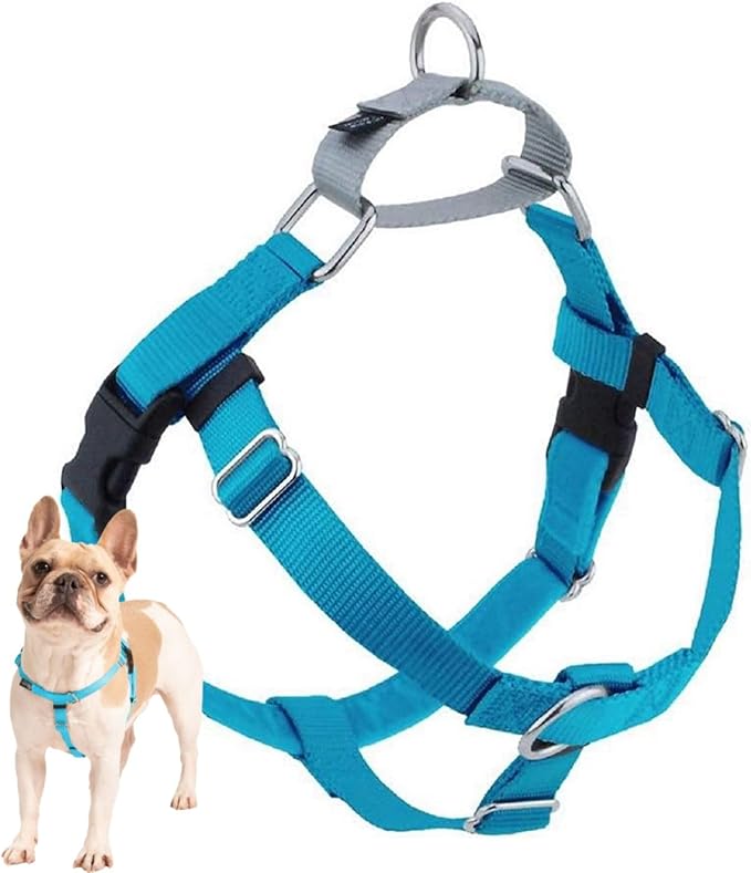 2 Hounds Design Freedom No Pull Dog Harness, Adjustable Harness, Easy Walking & Comfortable Control, Fits Small, Medium & Large Dogs, Solid Colors, Made in USA, 5/8" XS, Turquoise
