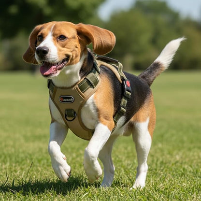 M Size Tactical Dog Harness and Leash Set, No Pull Adjustable Pet Vest with Handle and Reflective Trim, Dual Clip Oxford Training Chest Collar for Medium Dogs Walking Hiking Outdoor Control