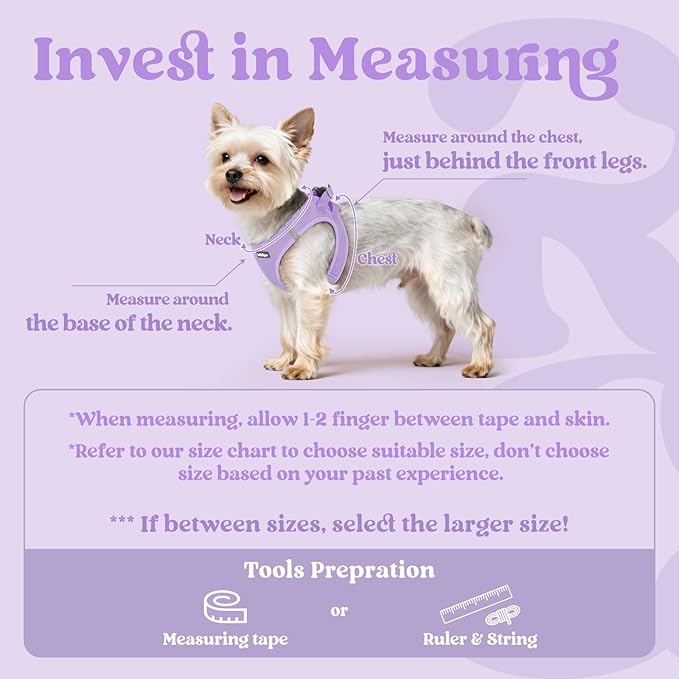 rabbitgoo Small Dog Harness, Step-in Soft Mesh Puppy Vest with Safety Buckle, Breathable Reflective Pet Harness for Small Medium Dogs, Light Purple L