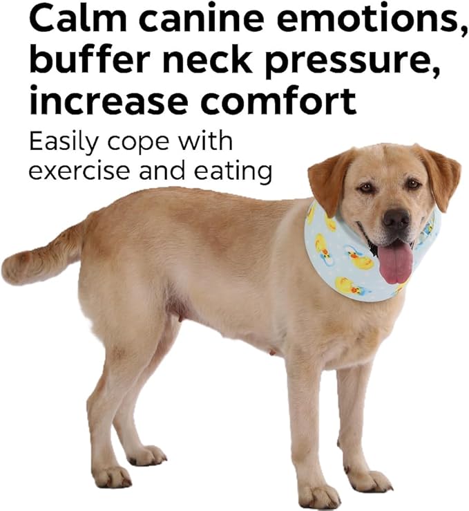 LovinPet Dog Recovery Collar, Adjustable Soft Cone for Medium & Large Dogs, Post-Surgery Comfort & Lick Prevention, Ducks with Hats Print,Blue