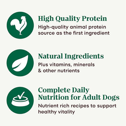 Nutro Natural Choice Cuts in Gravy Wet Dog Food, Grain Free Dog Food Wet Turkey, Chicken, Lamb, Beef Recipes Variety Pack, 3.5 oz. Trays (24 Count, Pack of 1)