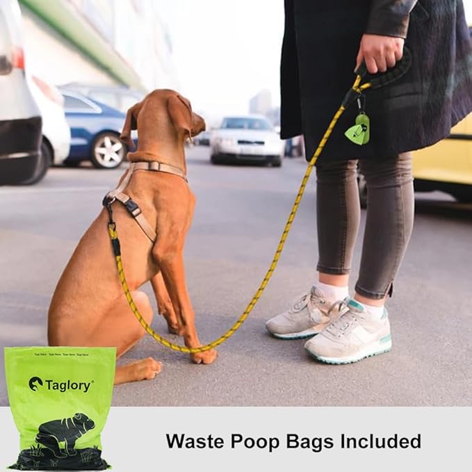 Taglory Rope Dog Leash 4 FT with Comfortable Padded Handle, Highly Reflective Threads Leash and Anti-Tangle Clip for Walking Small Dogs, 3/8 inch, Yellow
