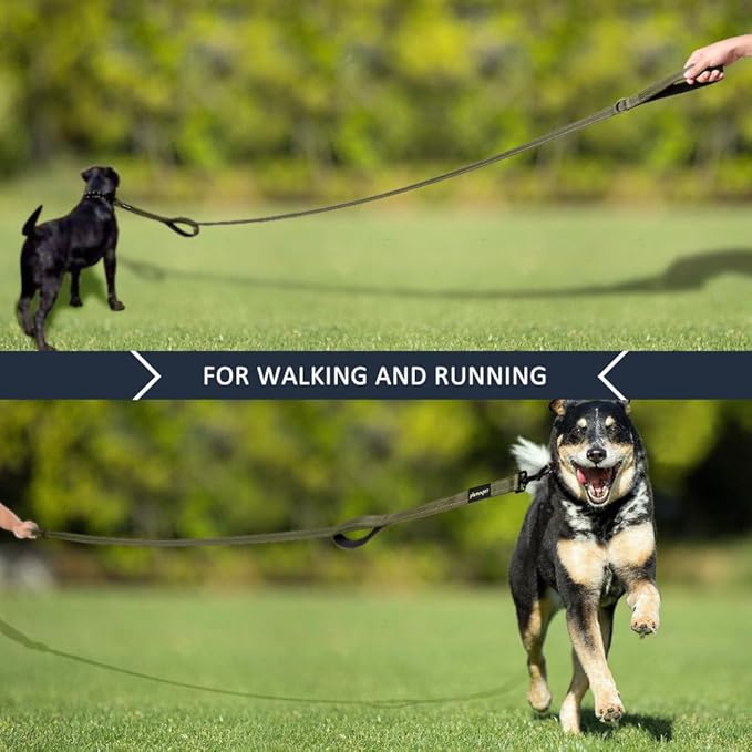 Plutus Pet Double Handle Dog Leash 6ft, Heavy Duty, Reflective Dual Handle Dog Leash for Safety Training, for Medium Large Dogs,2 Handle Leads, Ranger Green