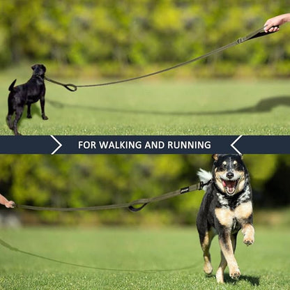Plutus Pet Double Handle Dog Leash 6ft, Heavy Duty, Reflective Dual Handle Dog Leash for Safety Training, for Medium Large Dogs,2 Handle Leads, Ranger Green