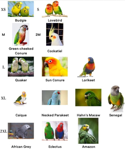 Pet Parrot Anti-bite Elizabethan Collars, Anti-Grab Feather Plucking Wound Healing Safety Recovery Collar Cones for Budgerigar Lovebird Conure Cockatiel Cockatoo Random Color (M)