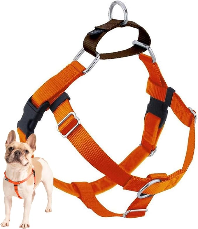 2 Hounds Design Freedom No Pull Dog Harness, Adjustable Harness, Easy Walking & Comfortable Control, Fits Small, Medium & Large Dogs, Solid Colors, Made in USA, 1" XL, Rust