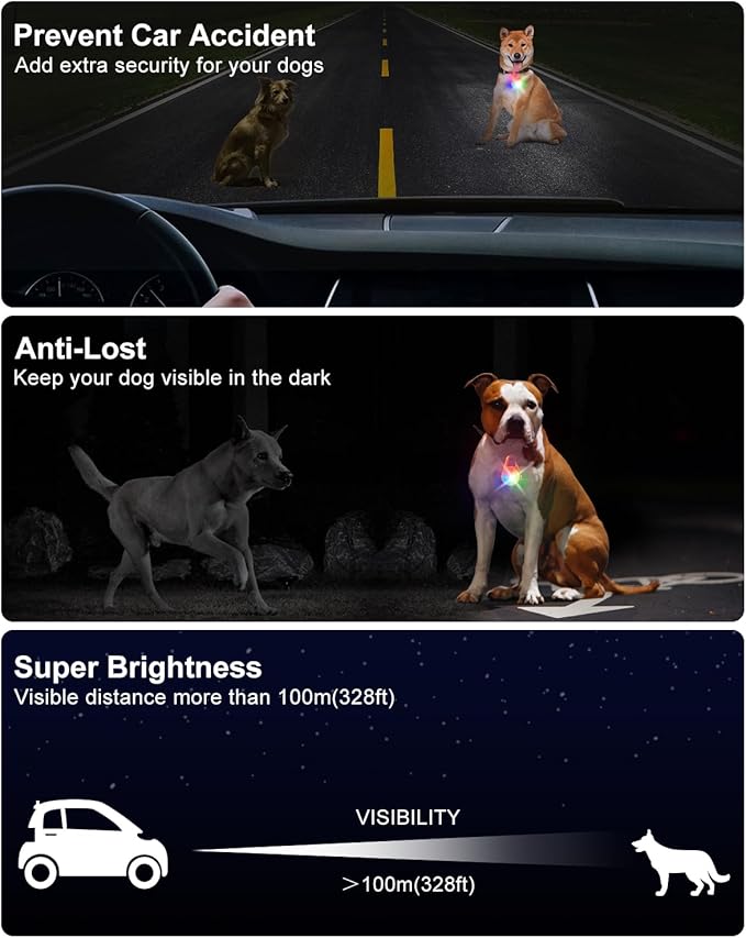 2 Pack Dog Collar Light, 4 Modes Clip On Dog Lights for Night Walking, Glow in The Dark LED Pet Collar Charm, Rechargeable Pet Camping Essentials for Nighttime Running, Cycling, Hiking(Orange)