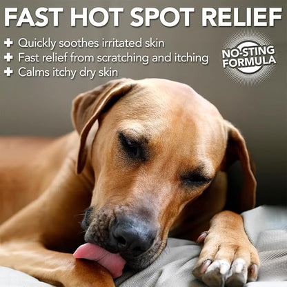 Vet's Best Dog Hot Spot Itch Relief Spray for Dogs, Dog Hot Spot Spray, Relieves Dry Skin, Rash, Scratching, and Licking, Itchy Skin & Hot Spots, anti-itch spray for dogs, Alcohol-Free, 16 oz