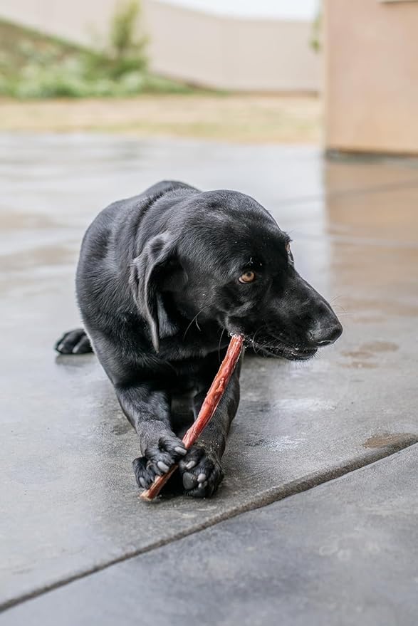 GigaBite Beef Esophagus Dog Treats - Natural Gullet Sticks for Dogs, High Protein Single Ingredient Dog Chews, Rawhide Free Dental Dog Treats for All Dog Breeds - Sticks (6 Inch), Pack of 18