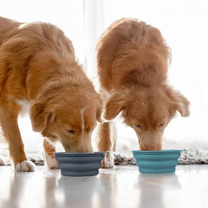 Kytely 2 Pack Collapsible Dog Bowls - 1000ml Portable Pet Food & Water Bowls with Carabiner Clip, Foldable Travel Dog Dish for Hiking, Walking, Camping (Blue & Grey)