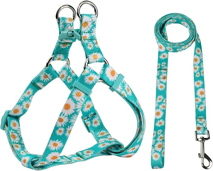Harness and Leash Set, Floral Pattern, 5ft Matching Leash, No Pull, Easy Wear for Medium Dogs.(M, Green Daisy)