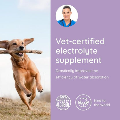 Dog Electrolytes and Joint Supplement | Glucosamine, Chondroitin & MSM for Inflammation and Mobility Support | Electrolytes for Dogs with Prebiotics | Salmon Lovers | 16 Packets
