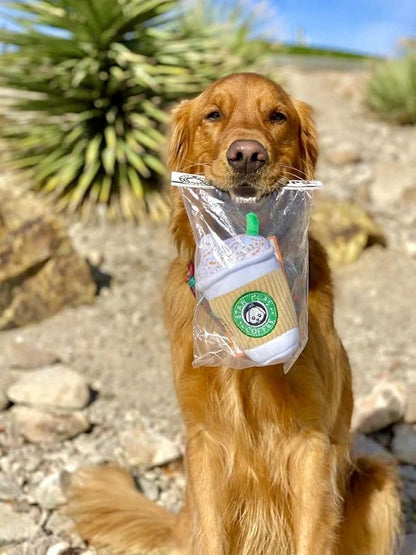 Nestpark Parody Star Pups Coffee Dog Toy Pup'kin Spice Latte - Funny Plush Squeaky Crinkle Dog Toys for Medium, Small and Large for Dog Birthday