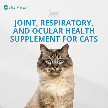 PRN Pharmacal Duralactin Feline L-Lysine Paste - Supports Joint, Respiratory & Eye Health Supplement for Cats - Paste Formula - 1 fl oz (3 Pack)