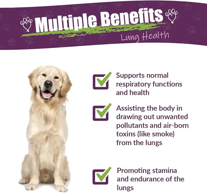 Amber NaturalZ Numo Care Respiratory Support for Dogs | Herbal Formula to Help Maintain Normal Lung Function, Clear Airways, and Immune Health | Natural Aid for Breathing Comfort 4 Fluid Ounce