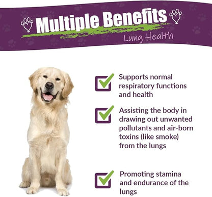 Amber NaturalZ Numo Care Respiratory Support for Dogs | Herbal Formula to Help Maintain Normal Lung Function, Clear Airways, and Immune Health | Natural Aid for Breathing Comfort 4 Fluid Ounce