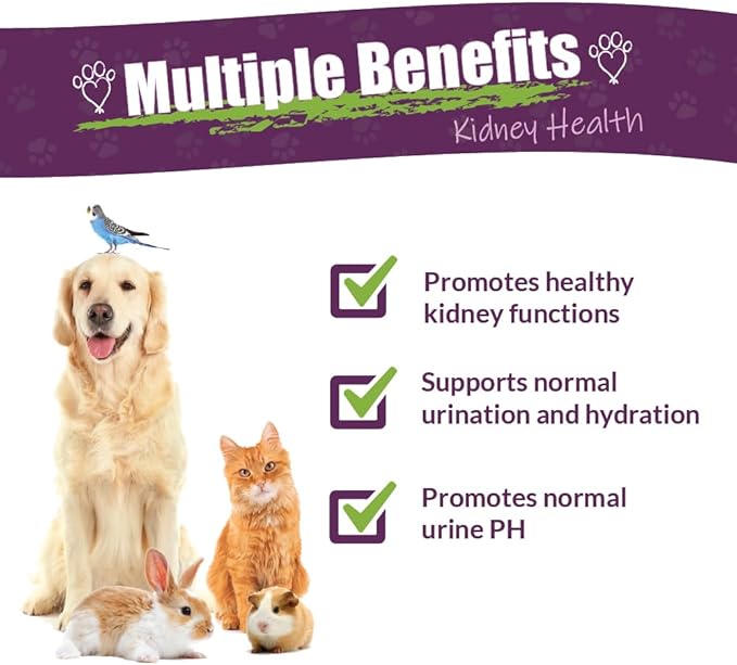 Amber NaturalZ Kidney Rejuvenator Herbal Supplement for Dogs, Cats, Birds, Rabbits, and Guinea Pigs | Supports Normal Kidney Function | Natural Aid for Kidney Health 1 Fluid Ounce
