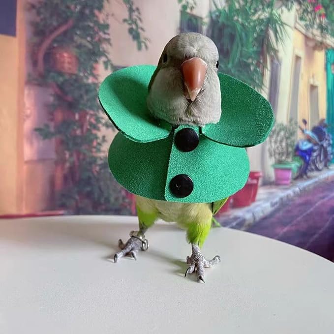 Pet Parrot Anti-bite Elizabethan Collars, Anti-Grab Feather Plucking Wound Healing Safety Recovery Collar Cones for Budgerigar Lovebird Conure Cockatiel Cockatoo Random Color (M)