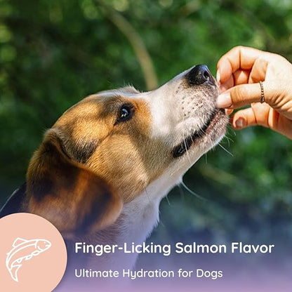 Dog Electrolytes and Joint Supplement | Glucosamine, Chondroitin & MSM for Inflammation and Mobility Support | Electrolytes for Dogs with Prebiotics | Salmon Lovers | 16 Packets