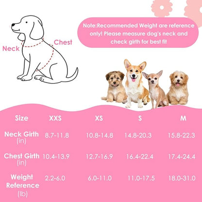 SlowTon Small Dog Harness - No Pull Dog Harness and Leash Set, Soft Mesh Lightweight Puppy Vest Harnesses, Adjustable Pet Harnesses for XXS XS Small Medium Easy Walk Hiking (Pink, M)