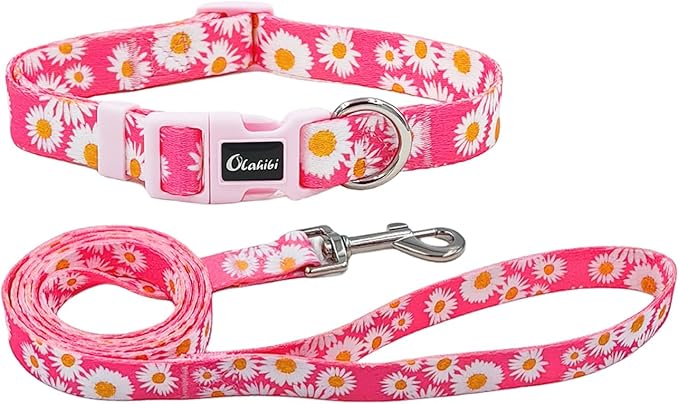 Dog Collar and Leash Set, Cute Pink Daisy Pattern, Polyester Material, 5ft Leash, for Small Dogs.(Small, Pink Daisy)