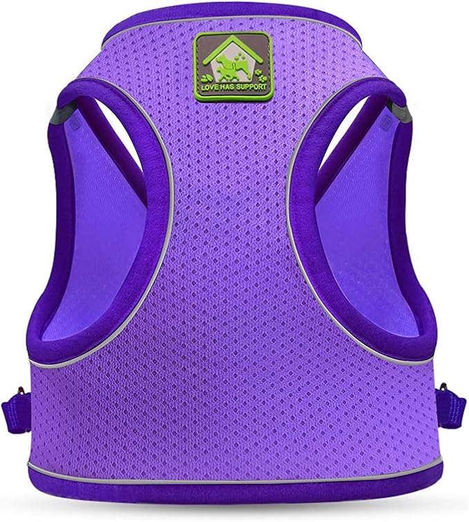 FEimaX Dog Harness and Leash Set, No-Pull Breathable Soft Mesh Puppy Vest Harness Reflective Adjustable Pet Harnesses for Small Medium Dogs and Cats - Outdoor Easy Control for Walking (XS, Purple)