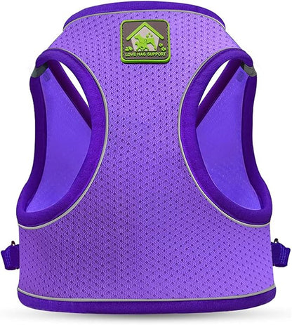 FEimaX Dog Harness and Leash Set, No-Pull Breathable Soft Mesh Puppy Vest Harness Reflective Adjustable Pet Harnesses for Small Medium Dogs and Cats - Outdoor Easy Control for Walking (XS, Purple)