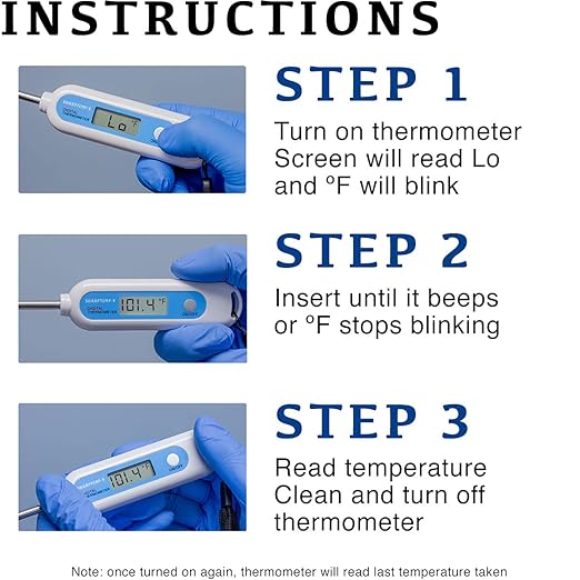 Large Animal Digital Thermometer Kit with Gloves