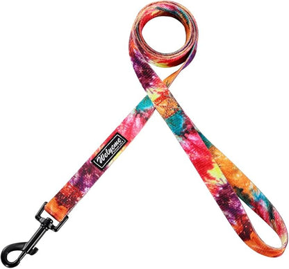Dog Collar and Leash Set for XSmall Small Medium Large Dogs, Rainbow Stripes, Tie Dye Dog Collar (S(9.9''-11.8''))