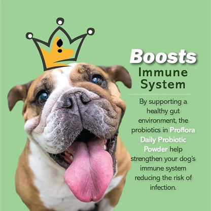 Daily Probiotics and Prebiotics for Dogs, Supports Digestive Health and Immune System, 30 Powder Sachets, 1.06 oz (1-Pack)