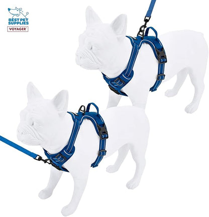 Voyager Dog Harness Dual Leash Attachment No-Pull Control Adjustable Soft but Strong Pet Harness for Medium and Large Dogs with 3M Reflective Technology, Leash Set Royal Nylon, XS (Chest: 13-16")