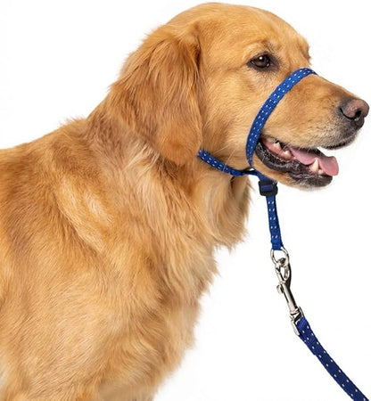 Headcollar for Dogs, Extra Soft Padded, Reflective, No Pull Dog Collar, Gentle Leader for Dogs with Durable Nylon Leash, Padded Handle - Navy Blue (Large)