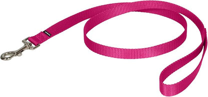 PetSafe Nylon Leash - Strong Nylon for Everyday Walks - Durable Pet Leash with Quick Attach Clip - Comfortable Soft Grip - 4 Feet - Raspberry Pink
